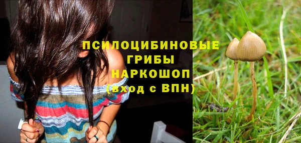 прущая мука Навашино
